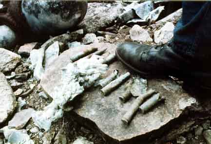 Ammo lying about everywhere,
Note prop spinner at the rear left.