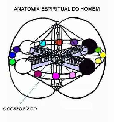 Roda