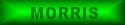 morris01.jpg - 1644 Bytes