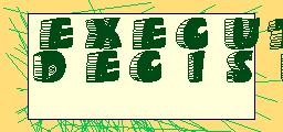 Executive Decision