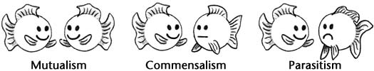 Relaciones simbioticas (basadas en alimento)