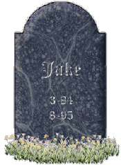 Jake