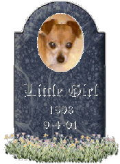 Little Girl