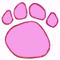 pawsfla.com home