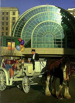 ArtsGarden