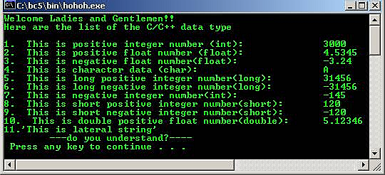C output data type