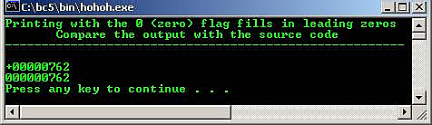 C output 0 flag fill leading