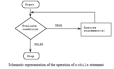 C C++ while flow chart