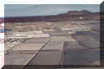 Lanzarote's very smelly salt pans 