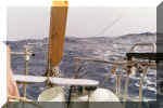 "Old Horny" our self steering system.