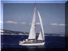 Tanglewind, treating us to a great sail !!!