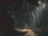 Bats