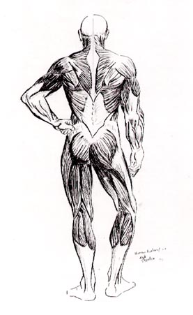 Pencil Sketch