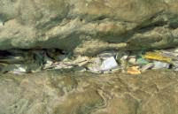 Mensagens deixadas no Muro das Lamenta��es