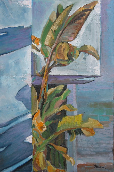 Banana-plant foto