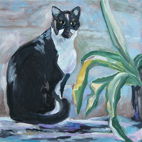 Cat-and-Plant foto