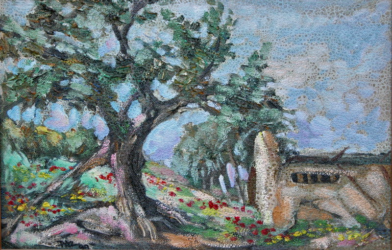 Landscape-in-Tirat-Shalom foto