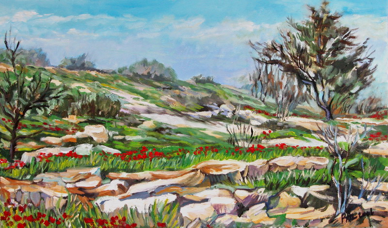 The-Jerusalem-hills-in-spring-time foto