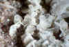 Albite xls.JPG (62547 bytes)