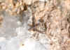 Arsenopyrite_triling.JPG (28722 bytes)
