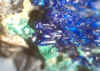 Azurite_2.JPG (63950 bytes)