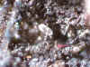 Barite_xl_on_Willemite.JPG (75572 bytes)