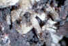 Barite_xls.JPG (71851 bytes)