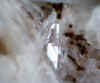 Barysilite.JPG (47495 bytes)