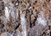 Brandtite_xls.JPG (572409 bytes)