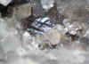Brookite_Altering_to_Rutile.JPG (52495 bytes)
