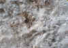 Fibrous Willemite.JPG (62935 bytes)