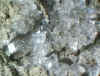 Fluorite.JPG (57668 bytes)