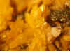 Greenockite.JPG (342902 bytes)