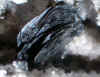 Ilmenite.JPG (63868 bytes)
