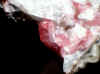 Leucopheonicite.JPG (46318 bytes)