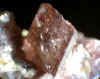 Manganaxinite_SH.JPG (57099 bytes)