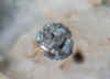 Marcasite.JPG (27962 bytes)