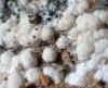 Rhodochrosite_balls.JPG (472426 bytes)