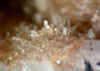 Selenite.JPG (46326 bytes)