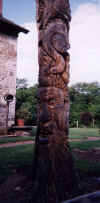 Tree4.jpg (83617 bytes)