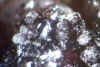 Unknown_on_Hetaerolite.JPG (62907 bytes)