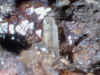 Willemite_3.JPG (67794 bytes)