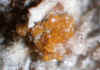 Zincite_3.JPG (55811 bytes)