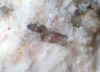 Zircon_3.JPG (47872 bytes)