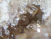 Unknown2.JPG (37749 bytes)