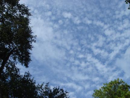 The Sky After Rita