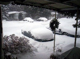 January 22, 2005