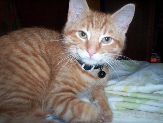Yes, my name is Max!