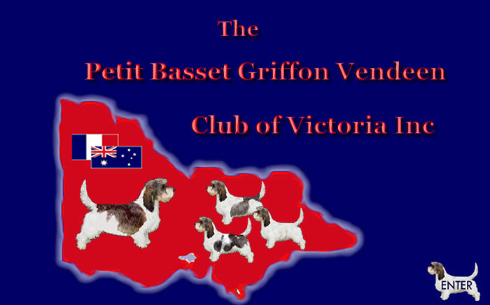 pbgv club