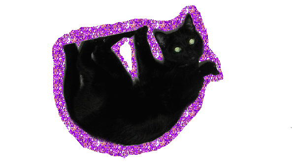 kitty-sparkle